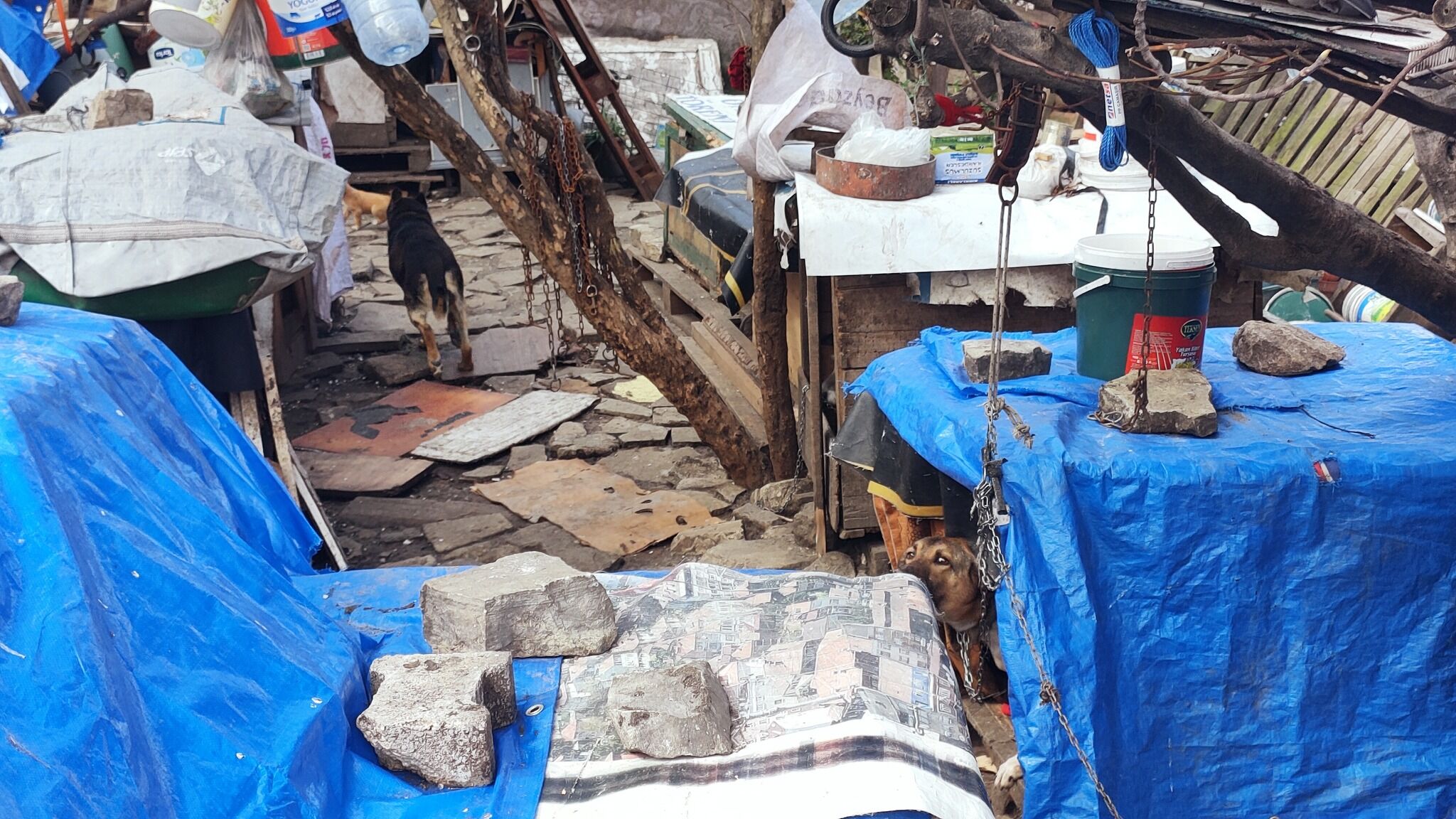 Kastamonu’da Olay Yaratan Müdahale Belediyeden Açıklama Geldi1