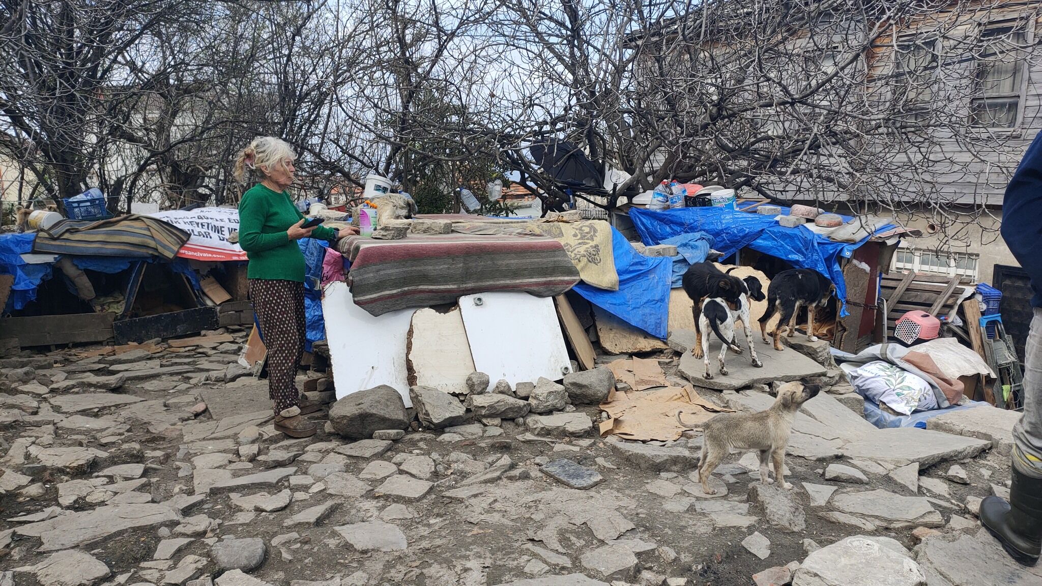 Kastamonu’da Olay Yaratan Müdahale Belediyeden Açıklama Geldi2