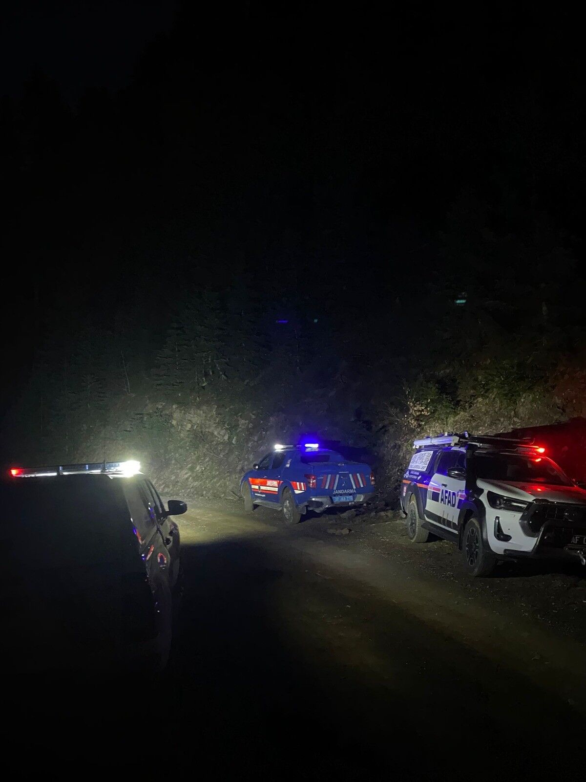 Kastamonu'da Uçurumdan Düşen Genç Için Ekipler Seferber Oldu 4