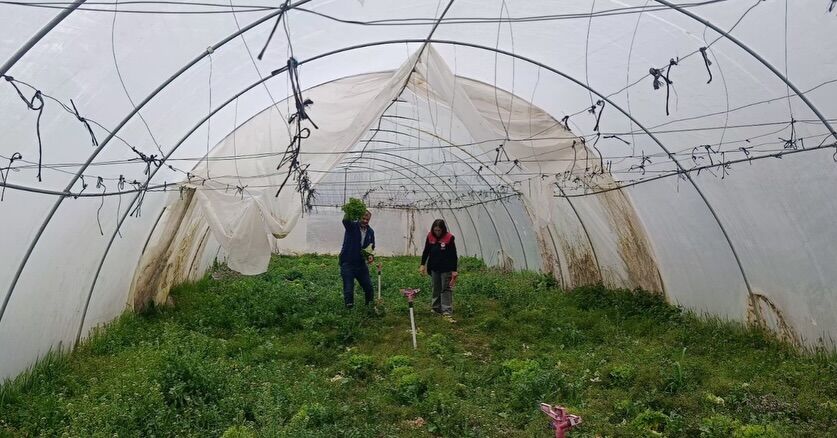 Kastamonu'da Üretim Alanları Denetlendi 26