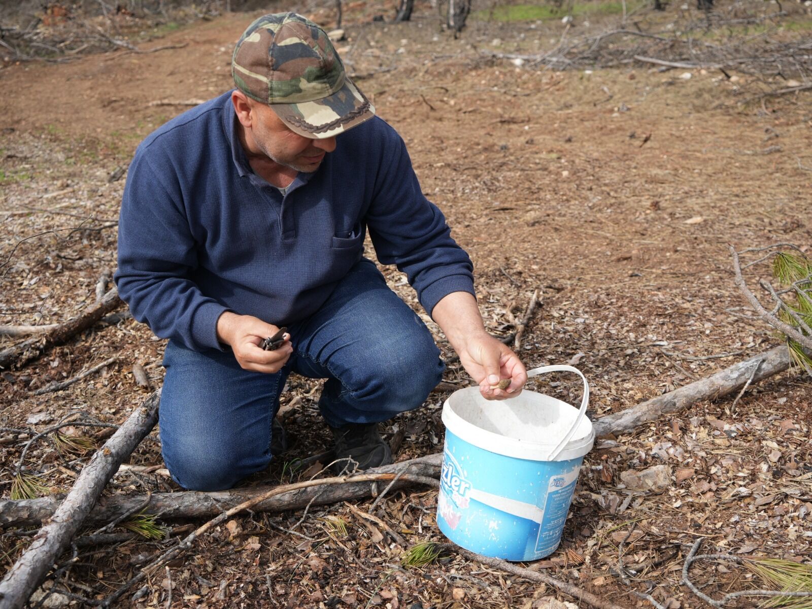 Kastamonu'da Yanan Ormanlarda Mantar Bolluğu Gelir Kapısı Oldu! 24