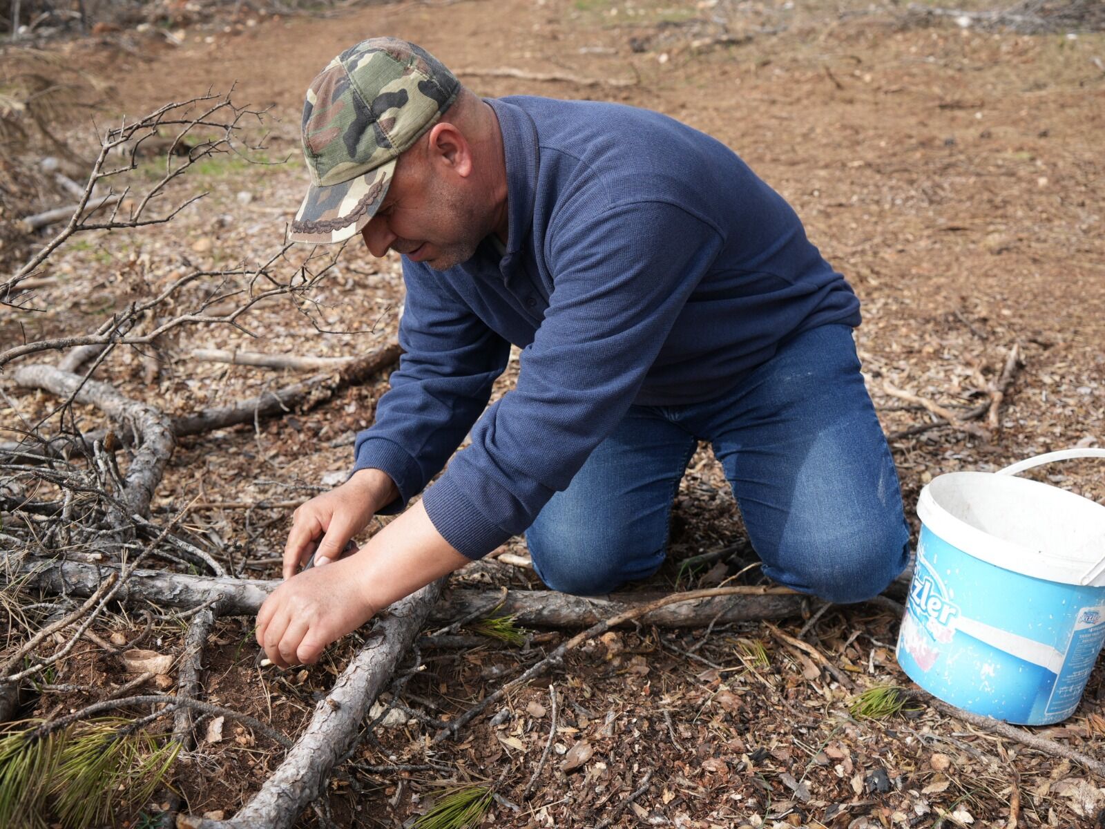 Kastamonu'da Yanan Ormanlarda Mantar Bolluğu Gelir Kapısı Oldu! 7