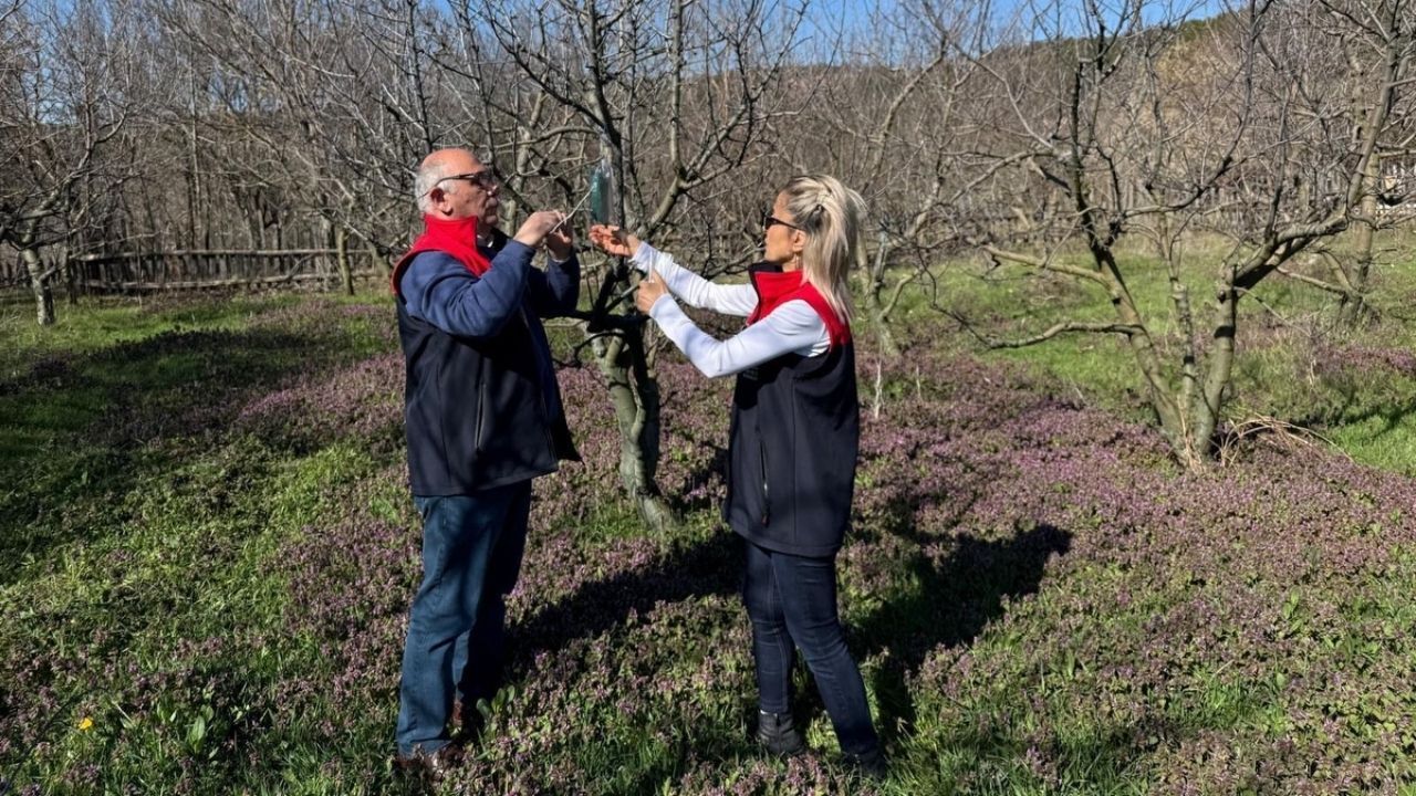Kastamonu’nun Başına Bela Olmuştu Sahadaki Mücadele Sürüyor (1)