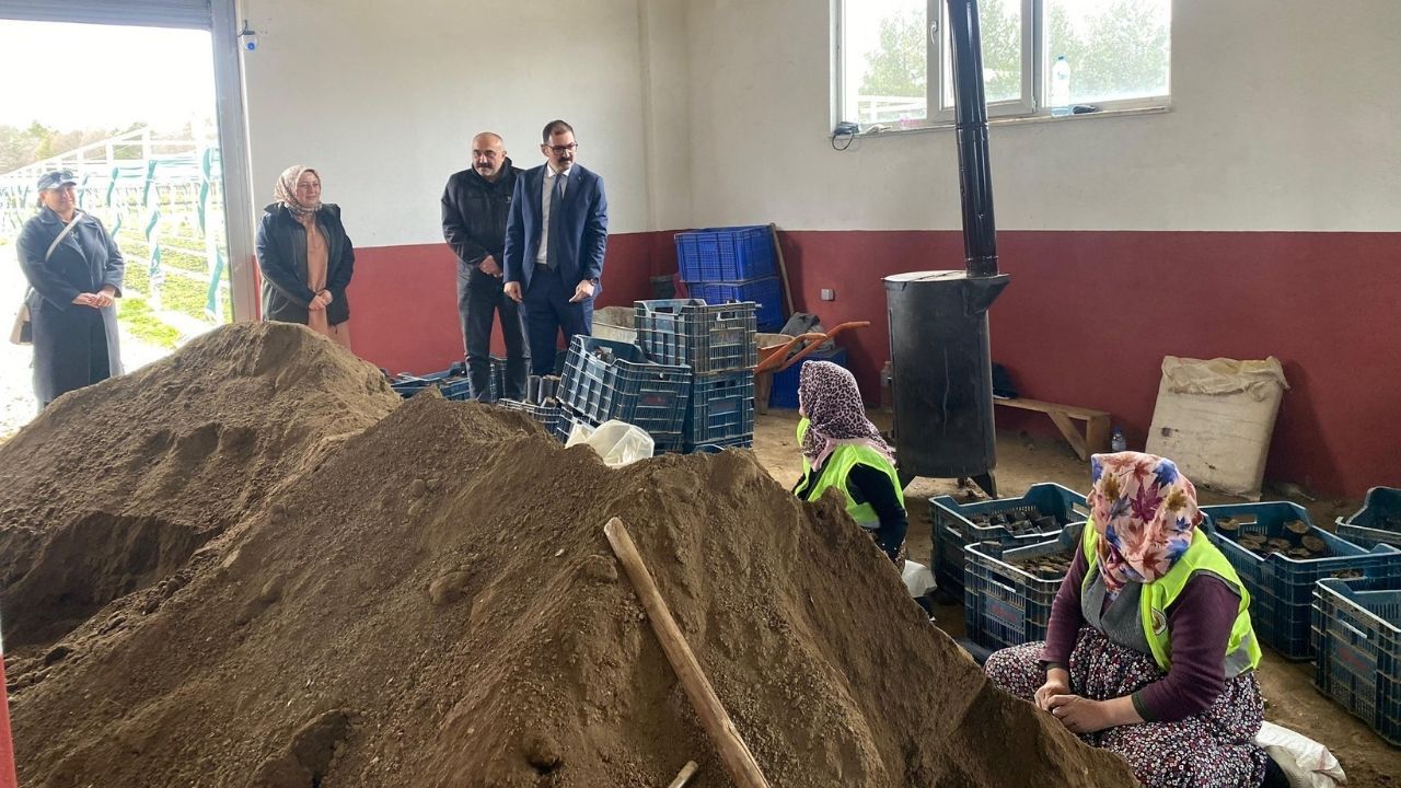 Kaymakam Demirdağ, Taşköprü Orman Fidanlık Şefliği’nde Incelemede Bulundu (3)