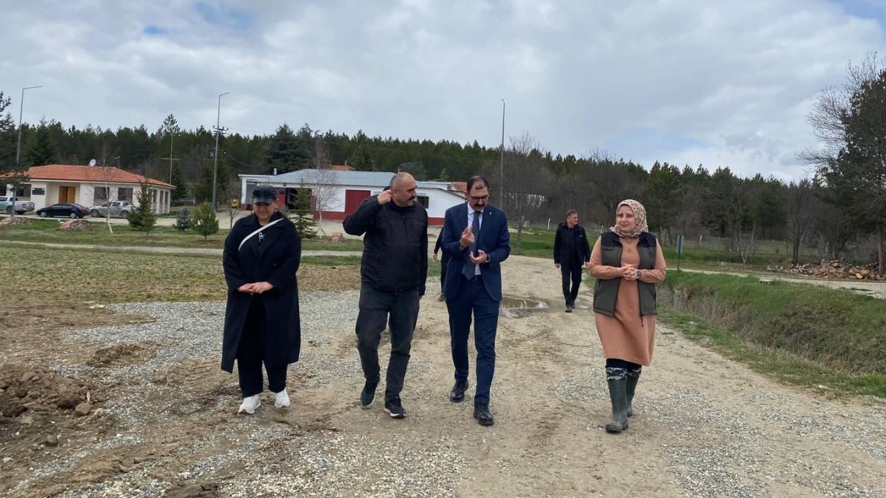 Kaymakam Demirdağ, Taşköprü Orman Fidanlık Şefliği’nde Incelemede Bulundu (4)