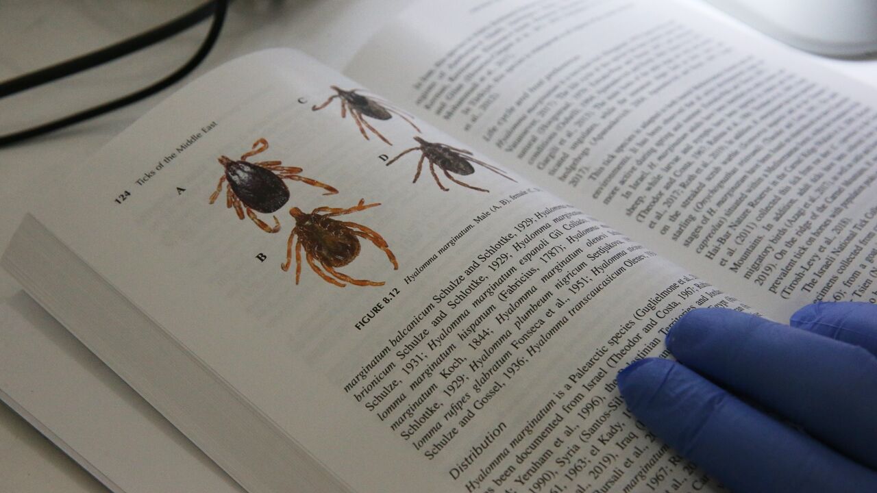 Keneler Kayıt Altına Alındı (5)