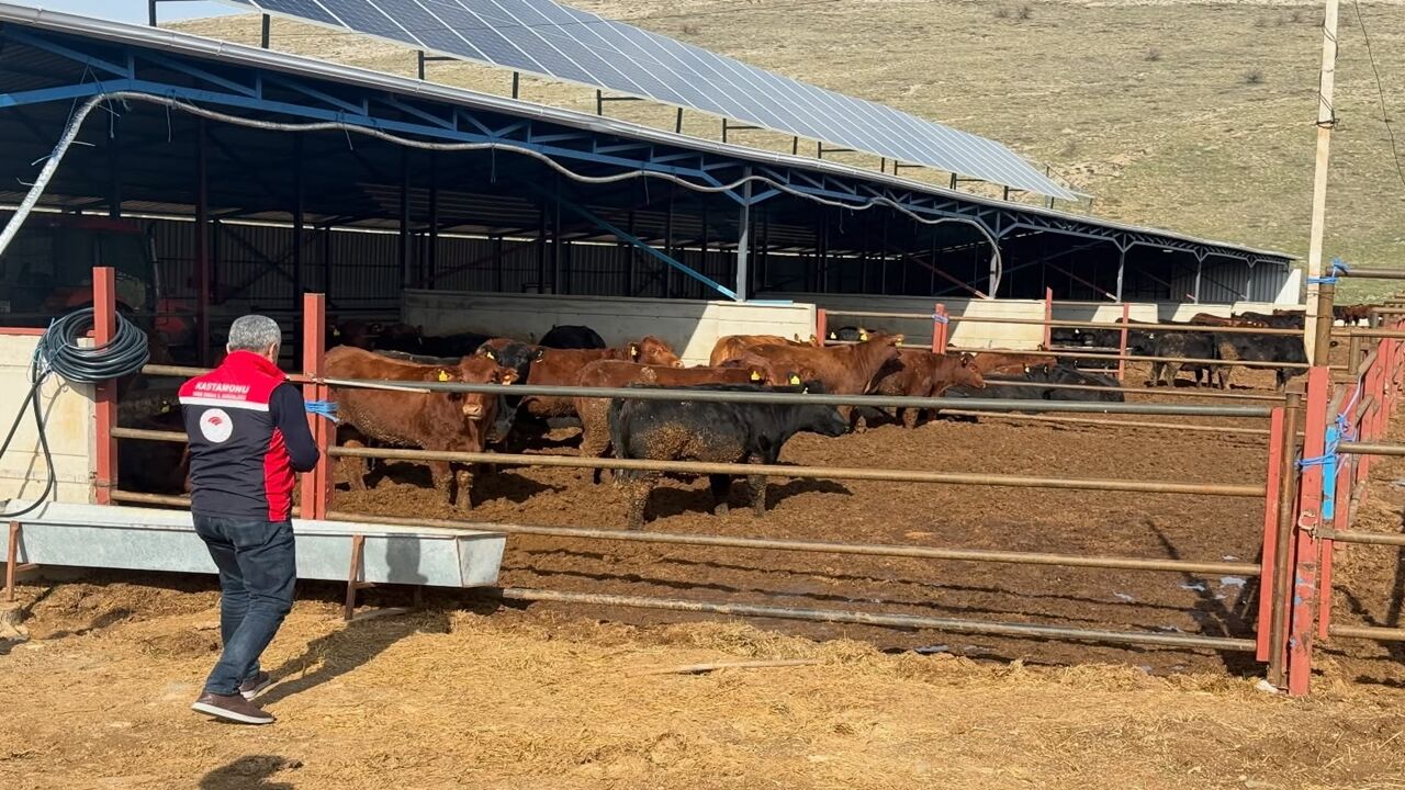 Kırşehir Mucur Ilçesinde Inceleme (2)