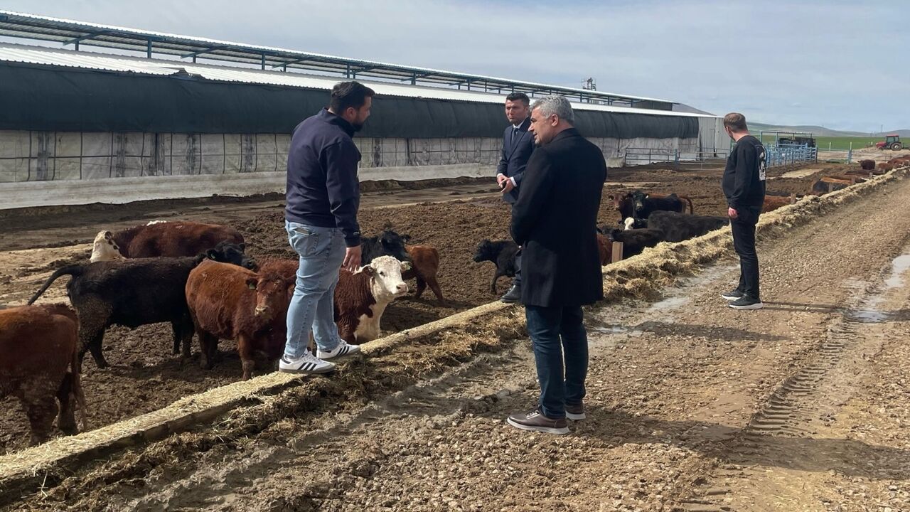 Kırşehir Mucur Ilçesinde Inceleme (3)