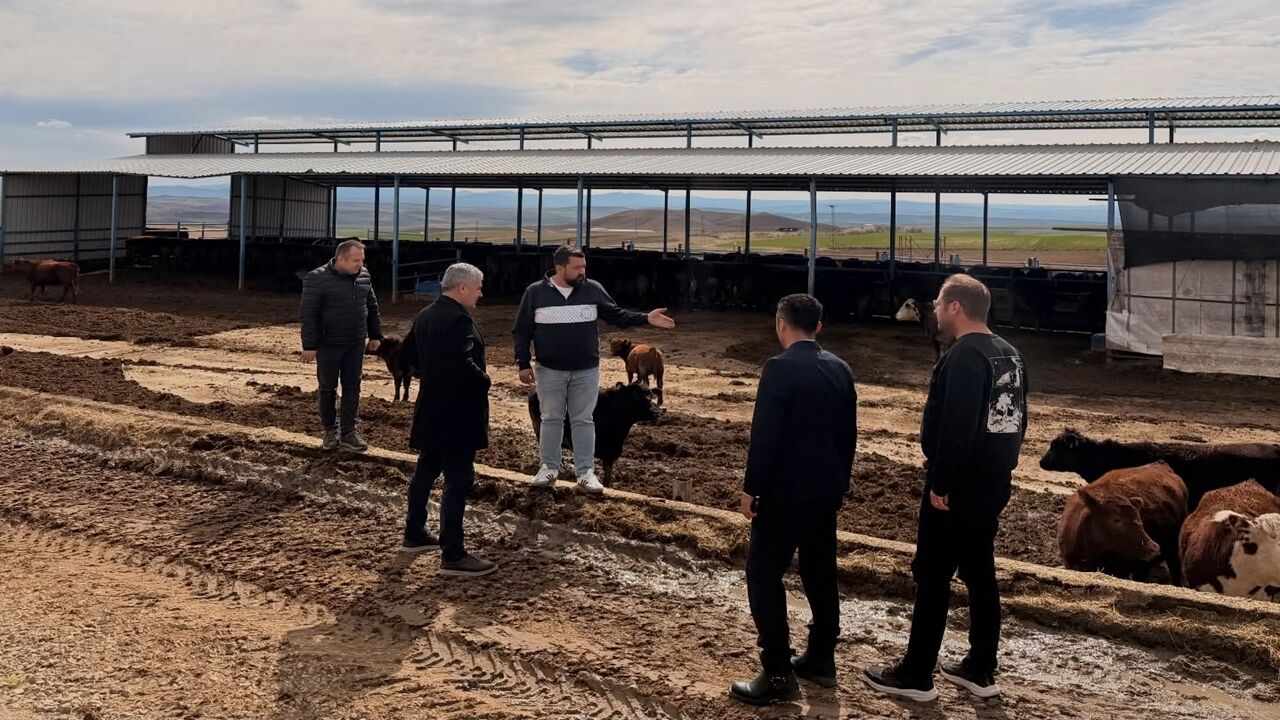 Kırşehir Mucur Ilçesinde Inceleme (5)