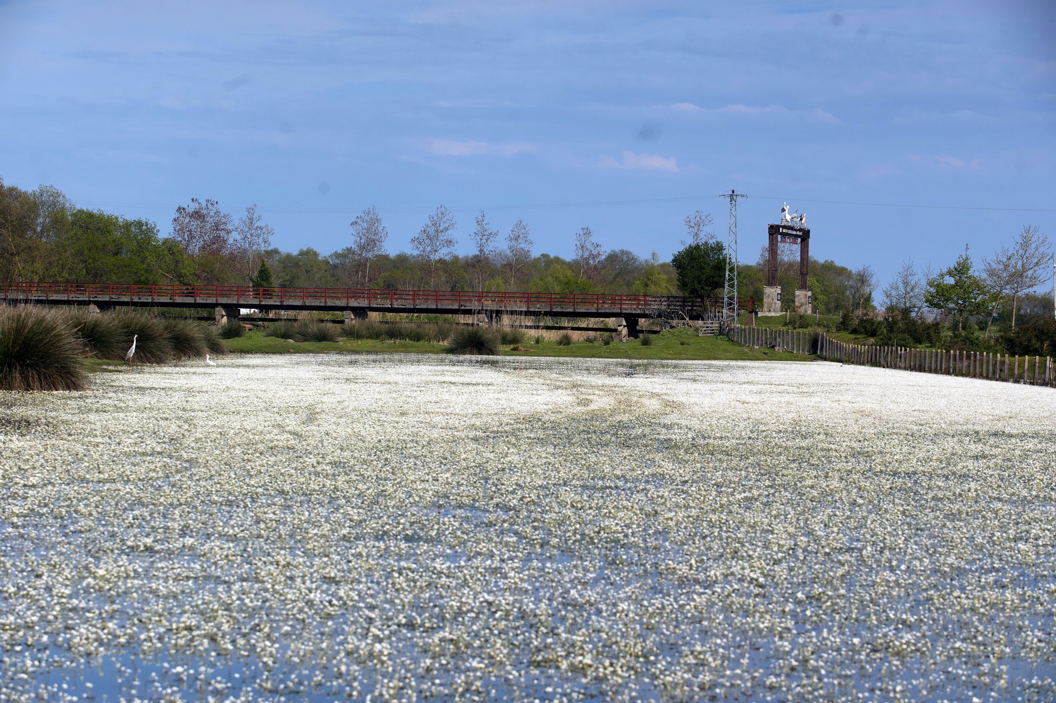 Kızılırmak Deltası’nda Bahar Coşkusu Başladı1