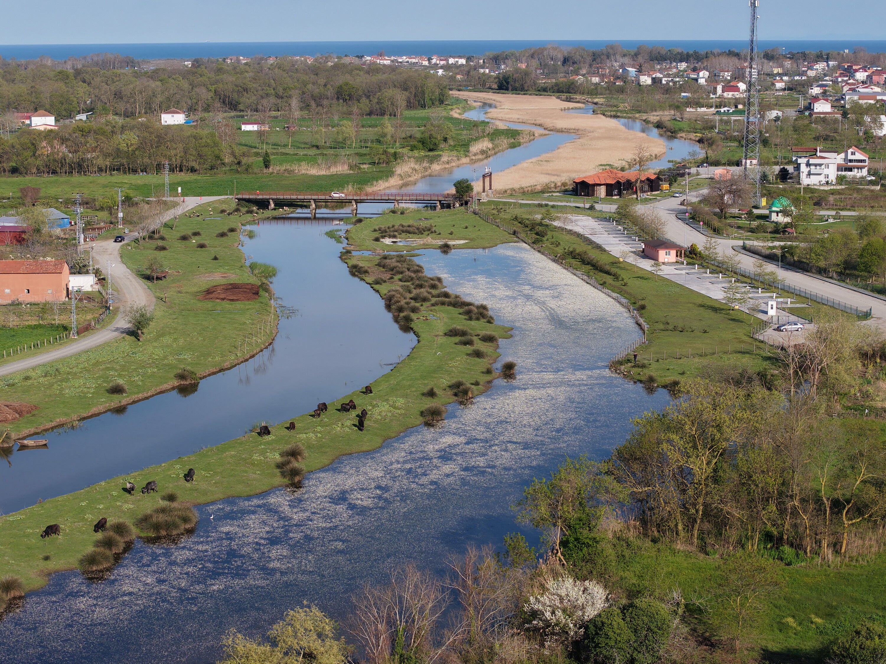 Kızılırmak Deltası’nda Bahar Coşkusu Başladı4
