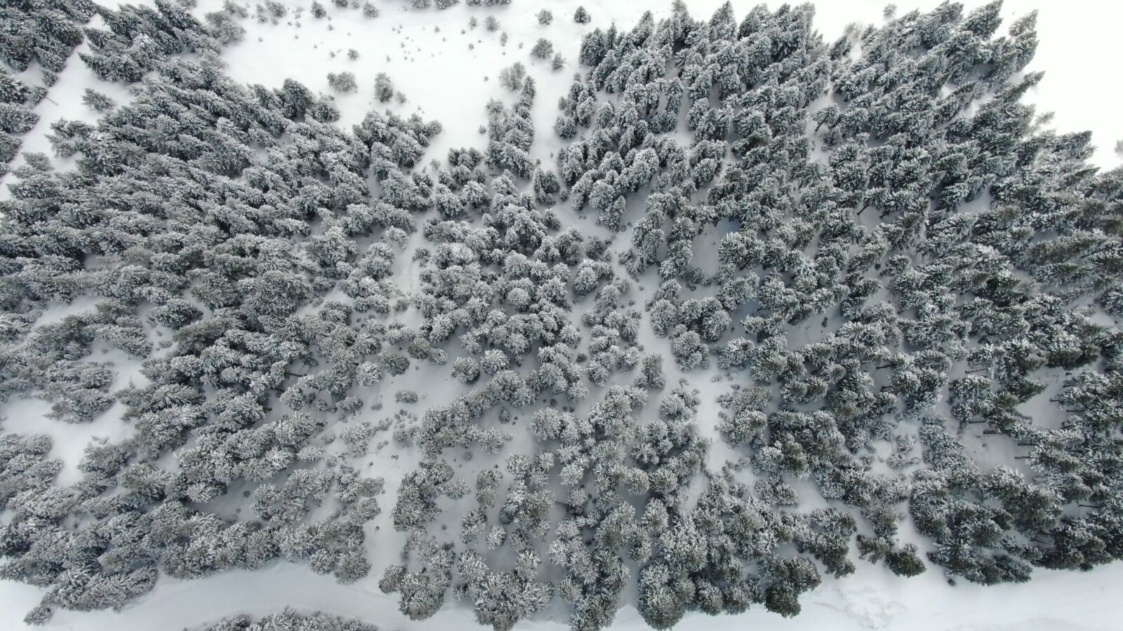 Nisan Ayında Kışı Aratmayan Manzara Kastamonu'da Kış Geri Döndü! 8