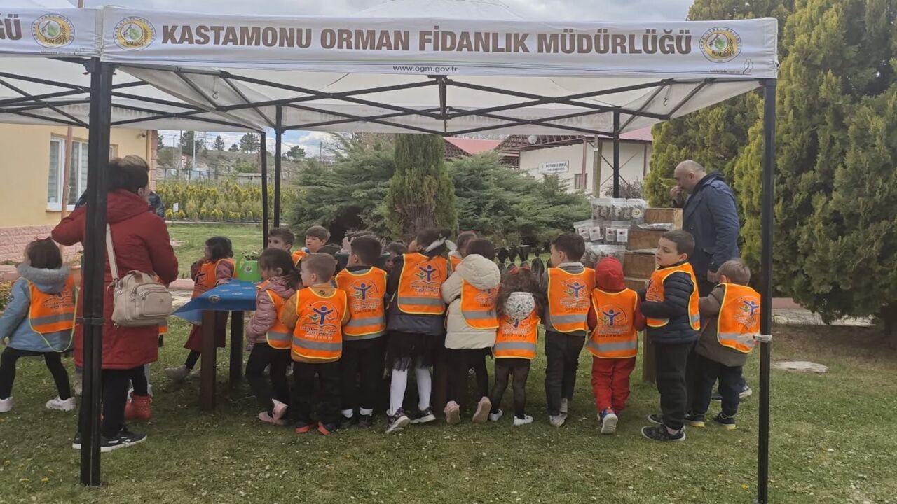 Orman Minik Fidan (2)