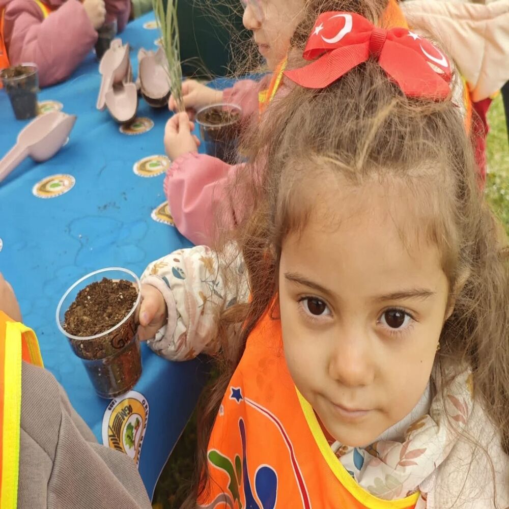 Orman Minik Fidan (3)