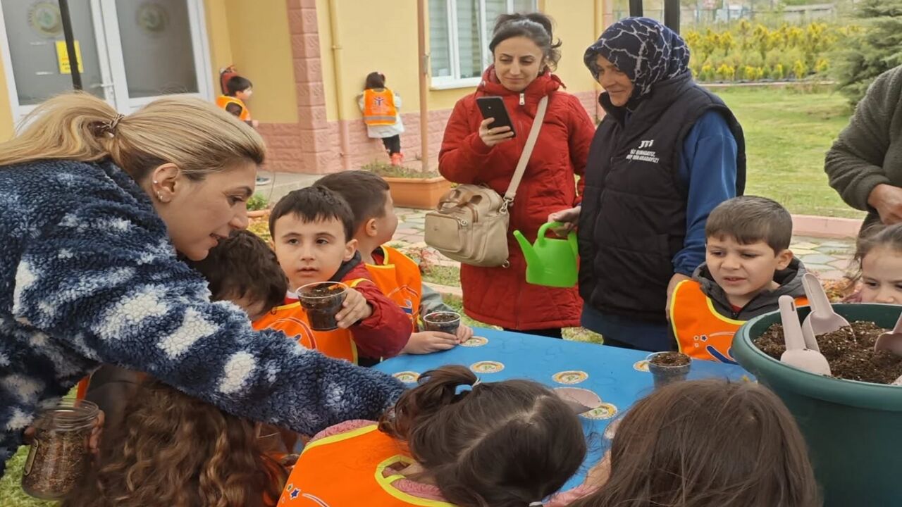 Orman Minik Fidan (4)