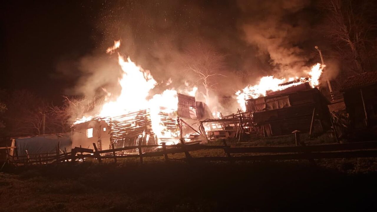 Sinop Erfelek Yangın (1)-2