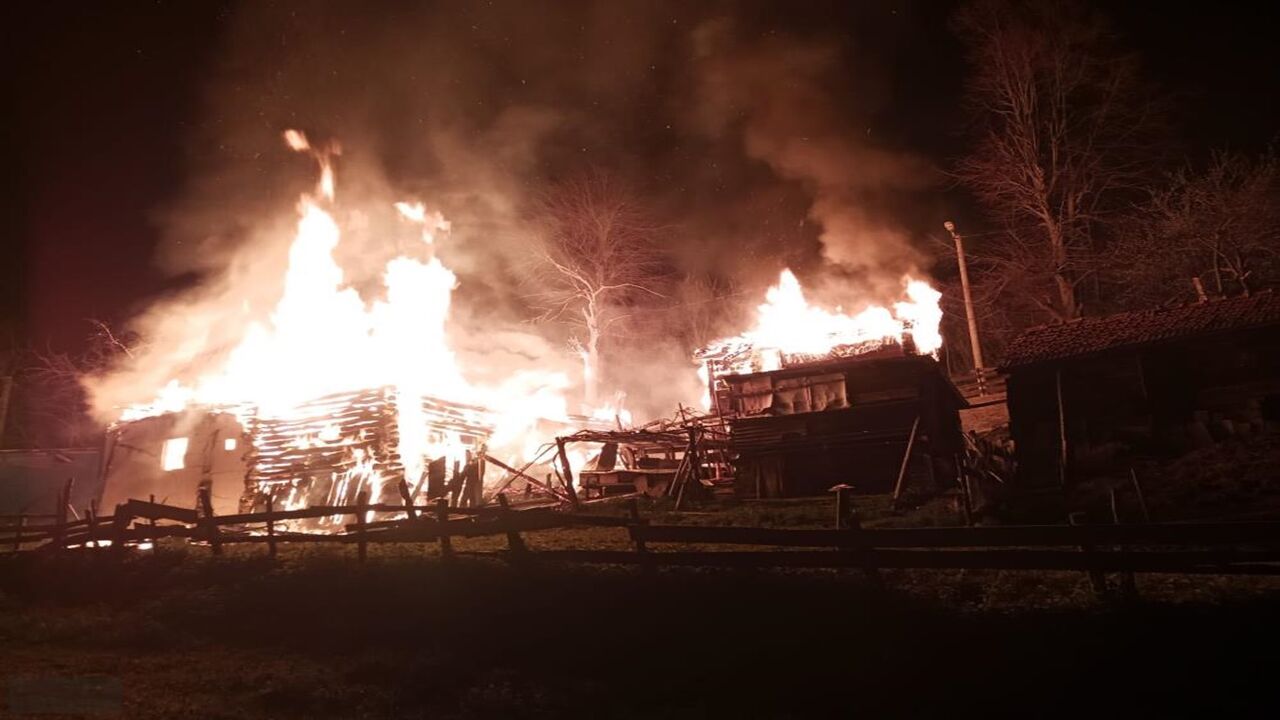 Sinop Erfelek Yangın (2)-1