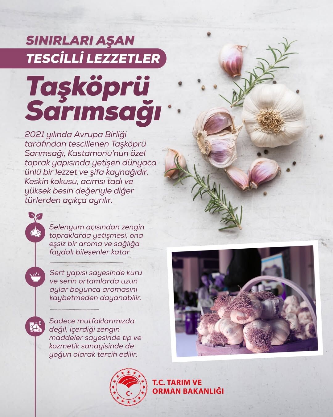 Tarım Ve Orman Bakanlığı Paylaştı Taşköprü Sarımsağı Sınırları Aştı! 88888888888888888888888888