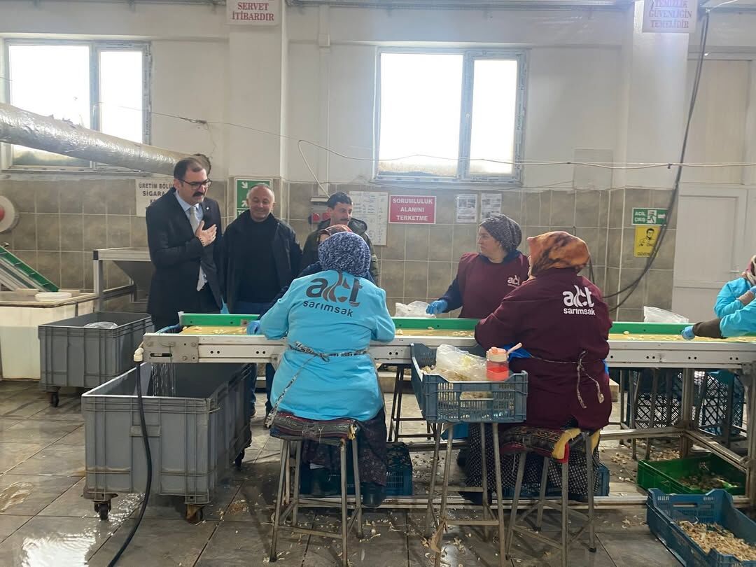 Taşköprü Kaymakamı Sarımsak Üretim Alanını Yerinde Inceledi 2