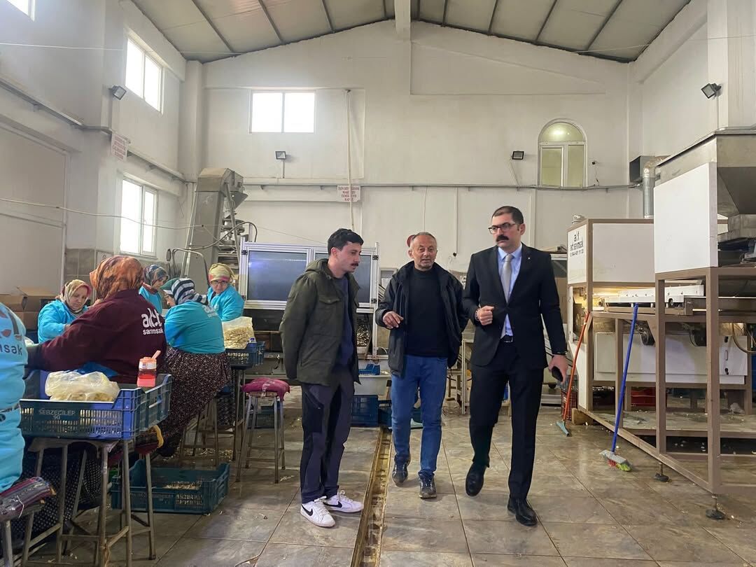 Taşköprü Kaymakamı Sarımsak Üretim Alanını Yerinde Inceledi 88888888