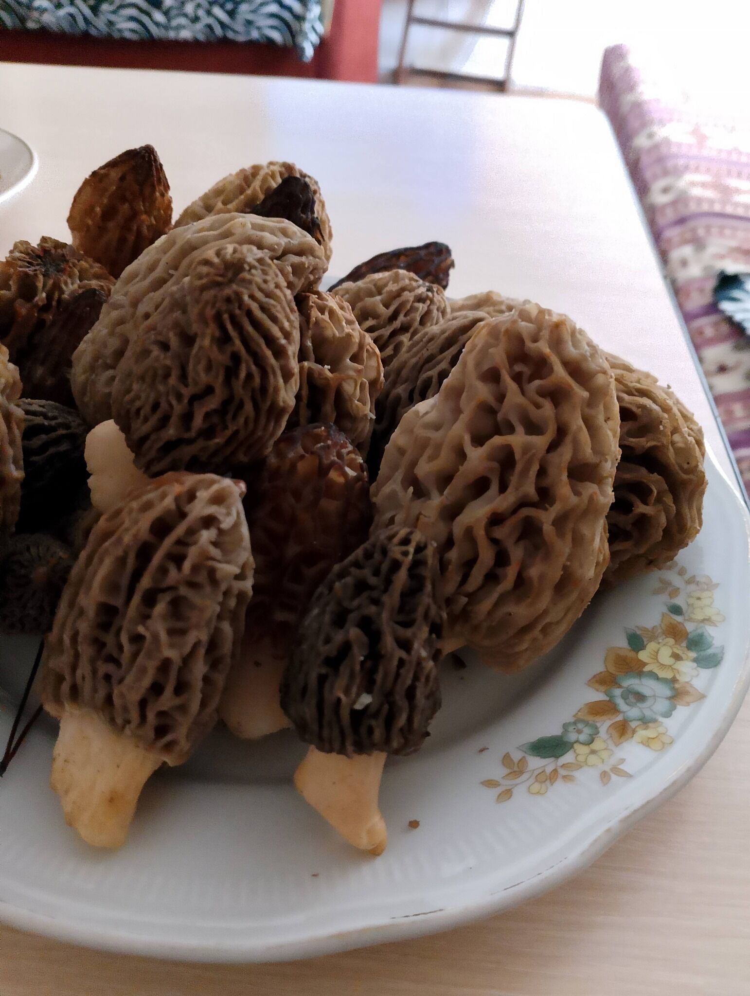 Taşköprü Ormanlarında Kuzugöbeği Bereketi Başladı