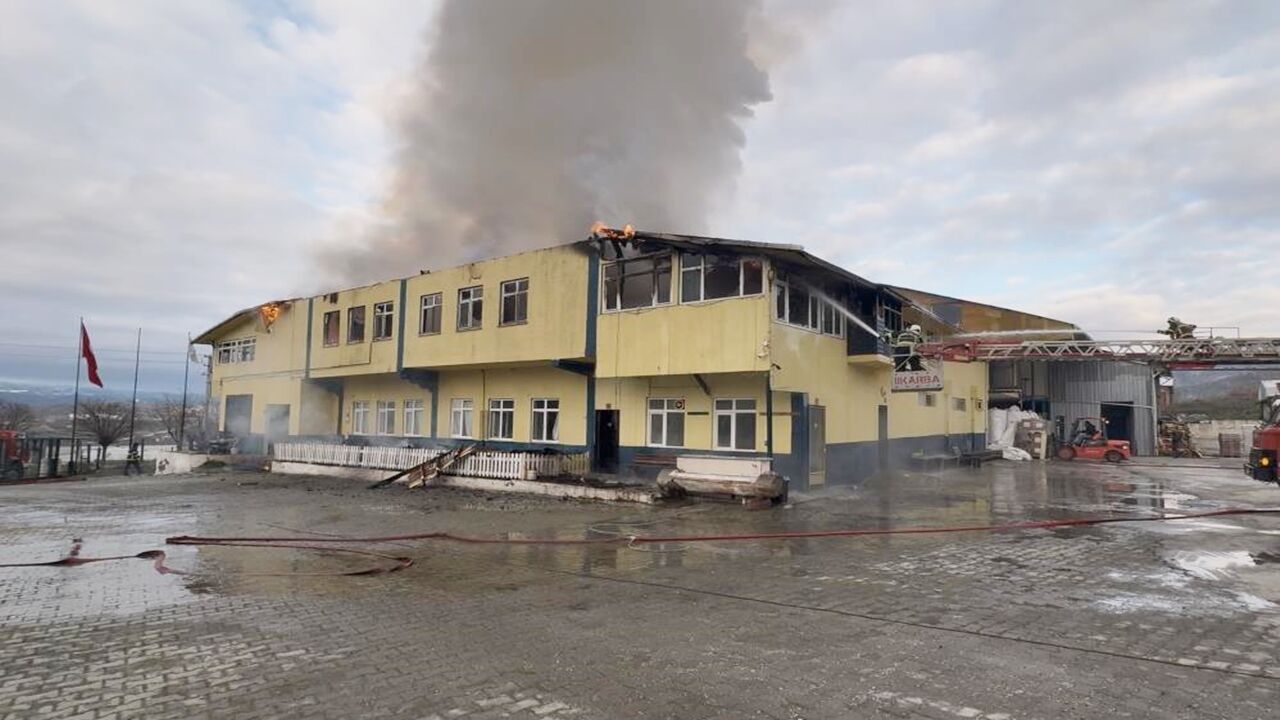 Tosya Fabrika Yangın (1)