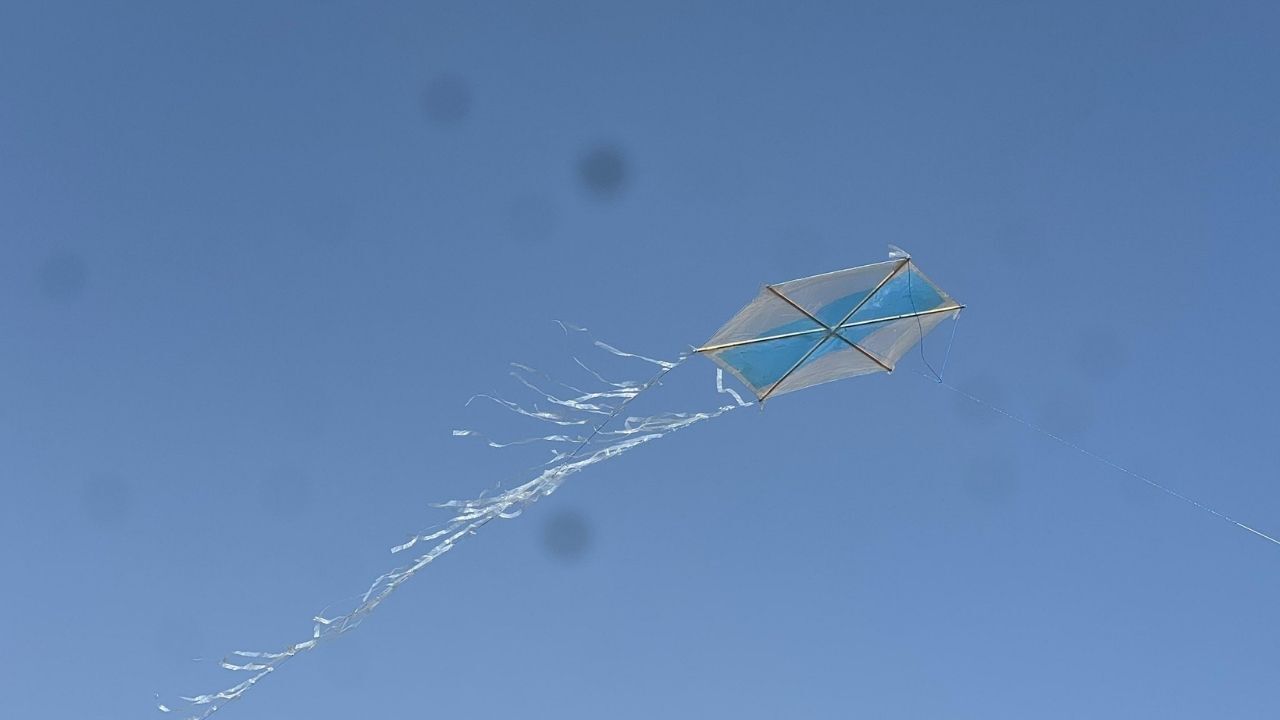 Uçurtma Şenliği (1)-2