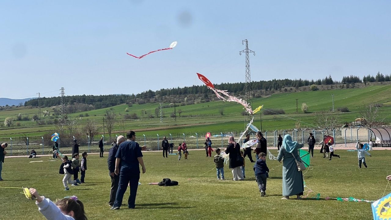 Uçurtma Şenliği (5)