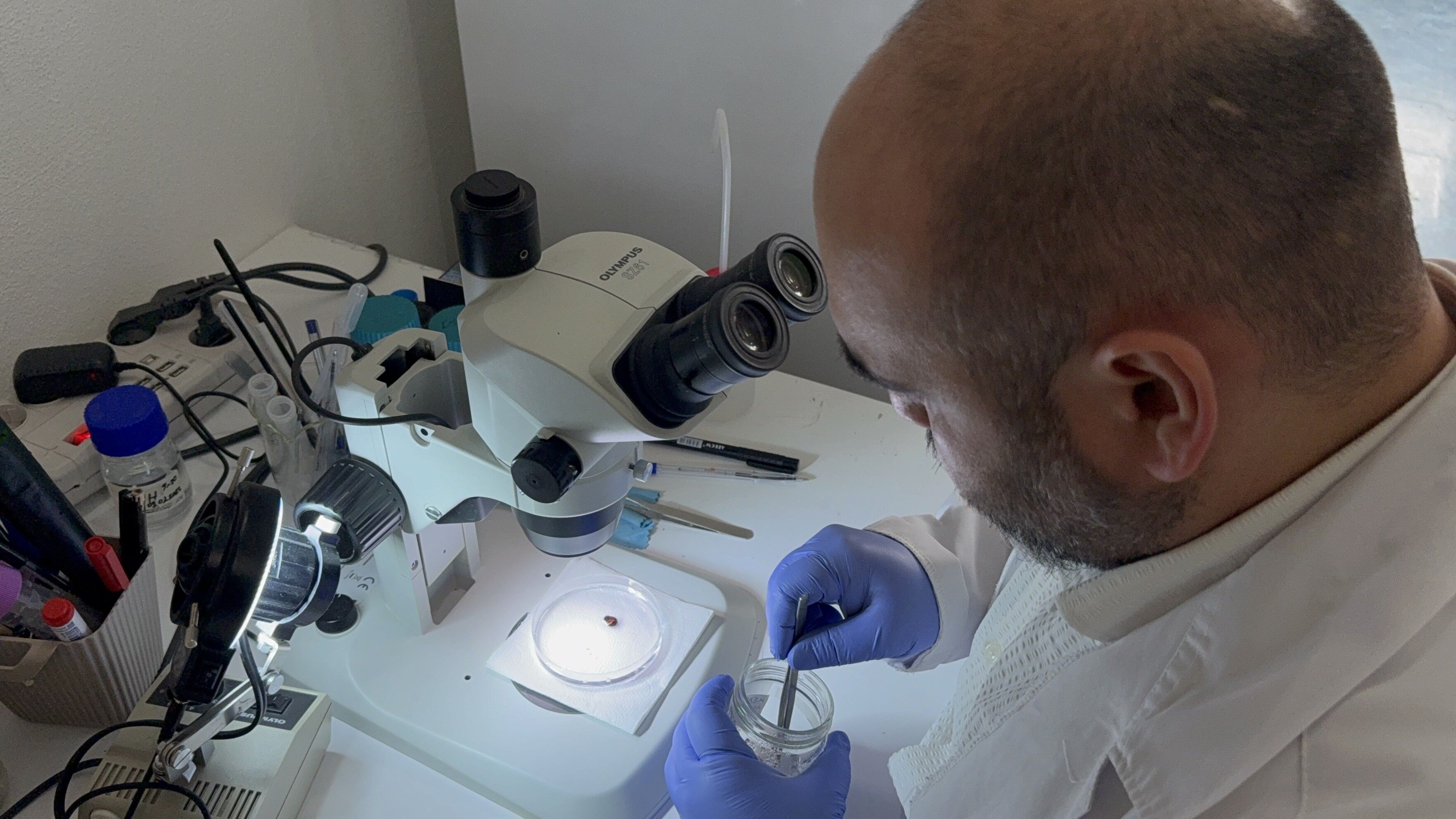 Uzmanından Uyarı! Kar Yağışı Keneleri Yok Etmiyor Soğukta Bile Aktif Kalıyorlar! 4