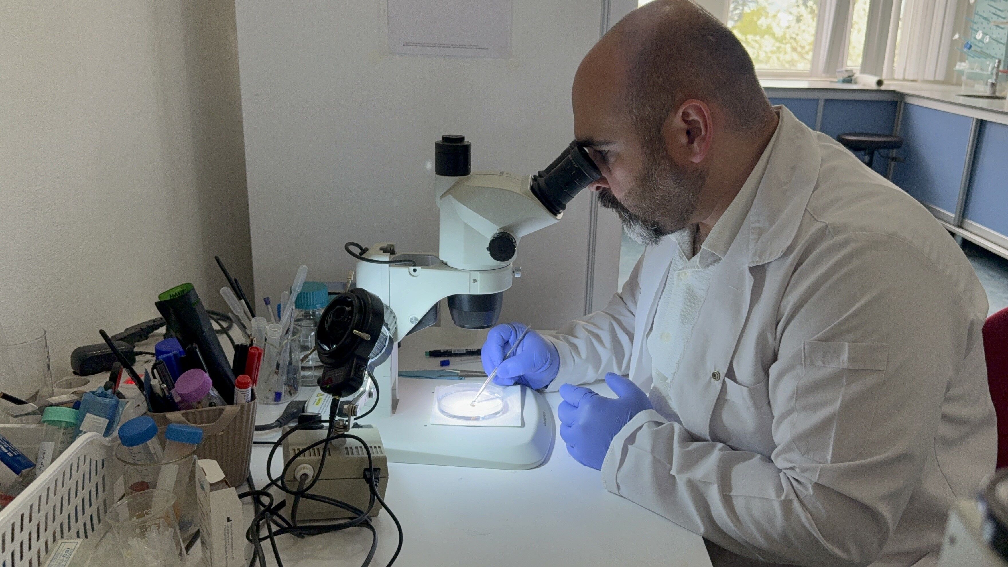 Uzmanından Uyarı! Kar Yağışı Keneleri Yok Etmiyor Soğukta Bile Aktif Kalıyorlar! 6