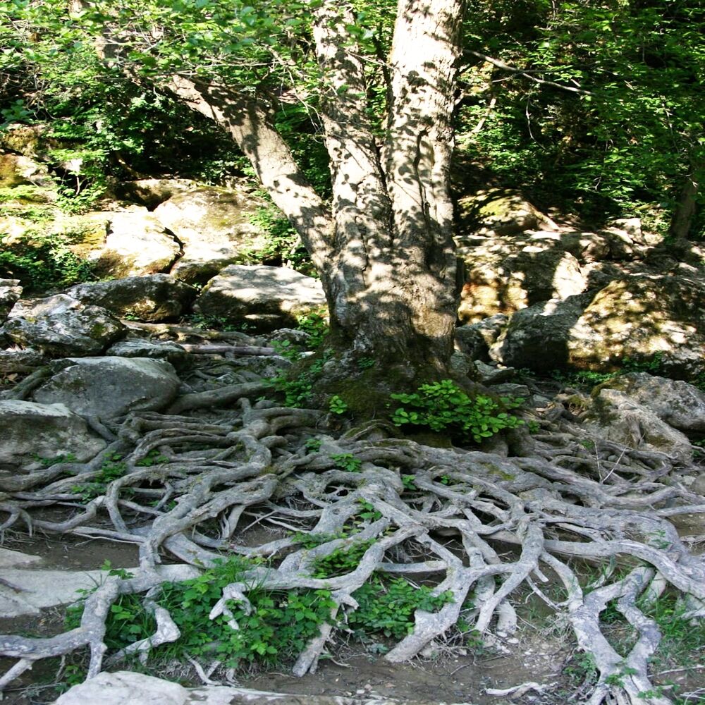 Whatsapp Image 2026 04 05 At 11.25.35 (2)