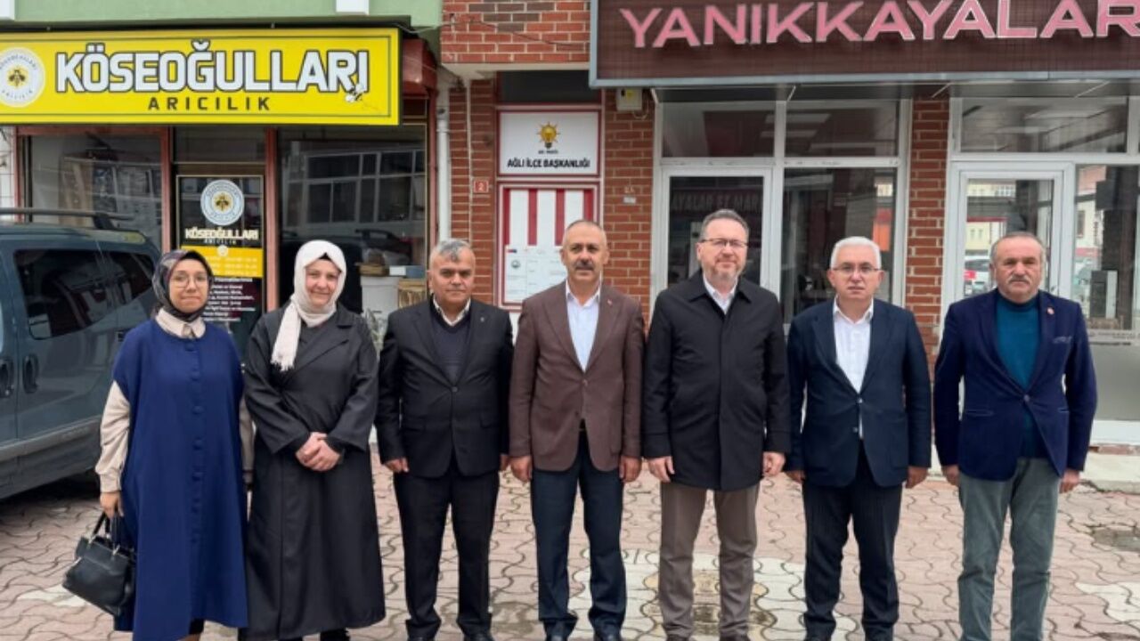 Ağlı Ak Parti (2)