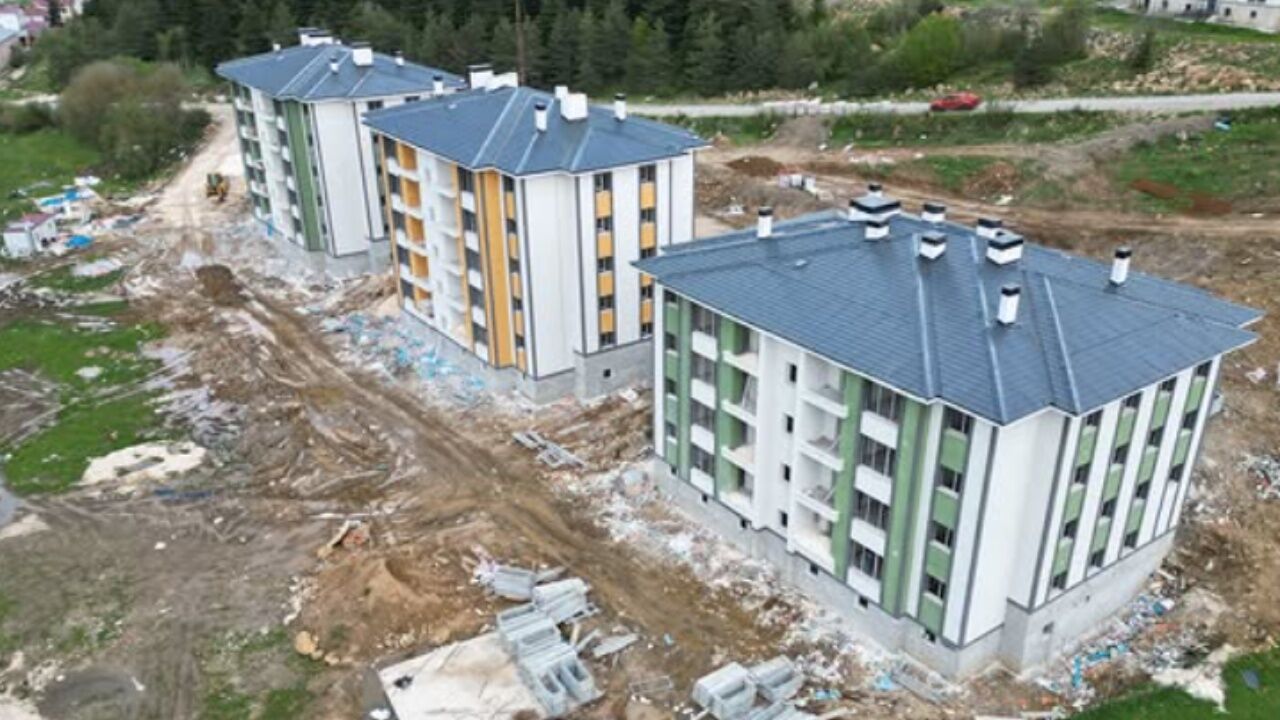 Ağlı Tokii