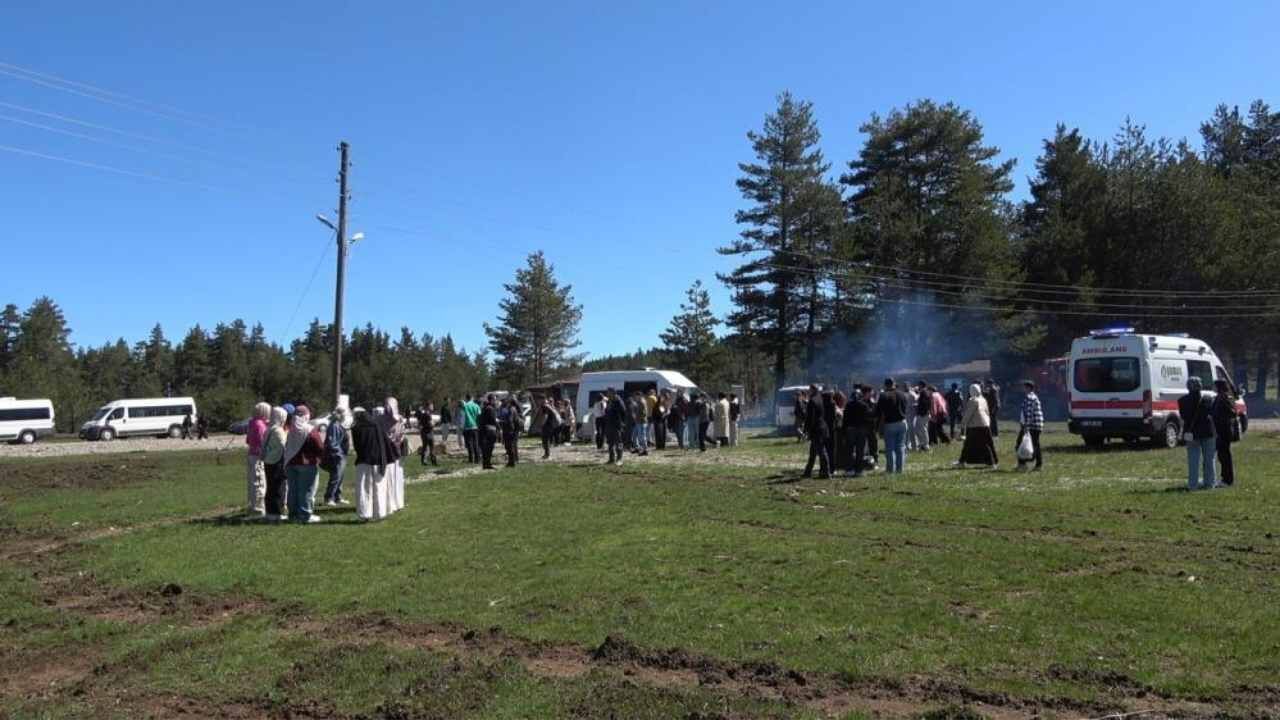 Araç Yayla (1)