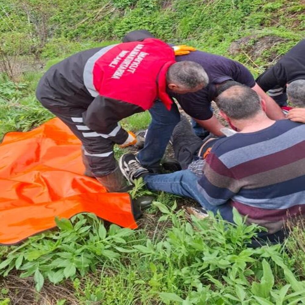 Ayı Saldırdı (1)