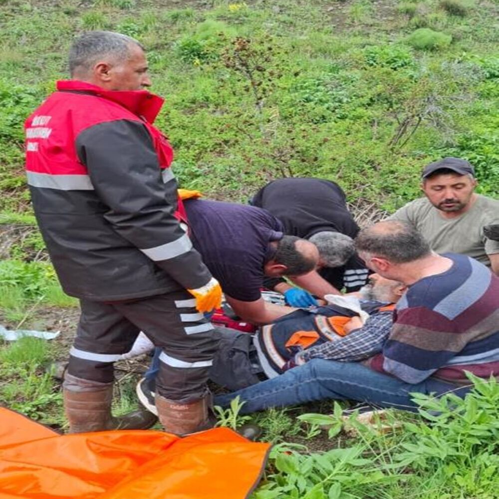 Ayı Saldırdı (2)