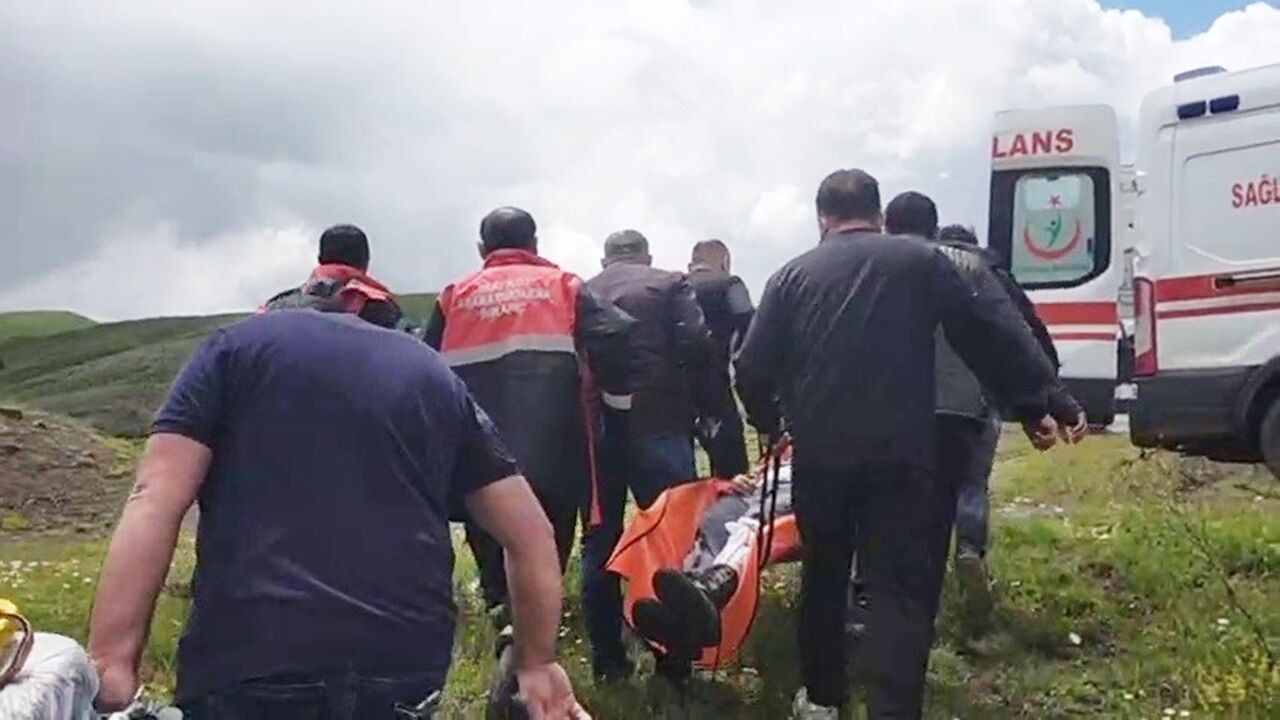 Ayı Saldırdı (3)