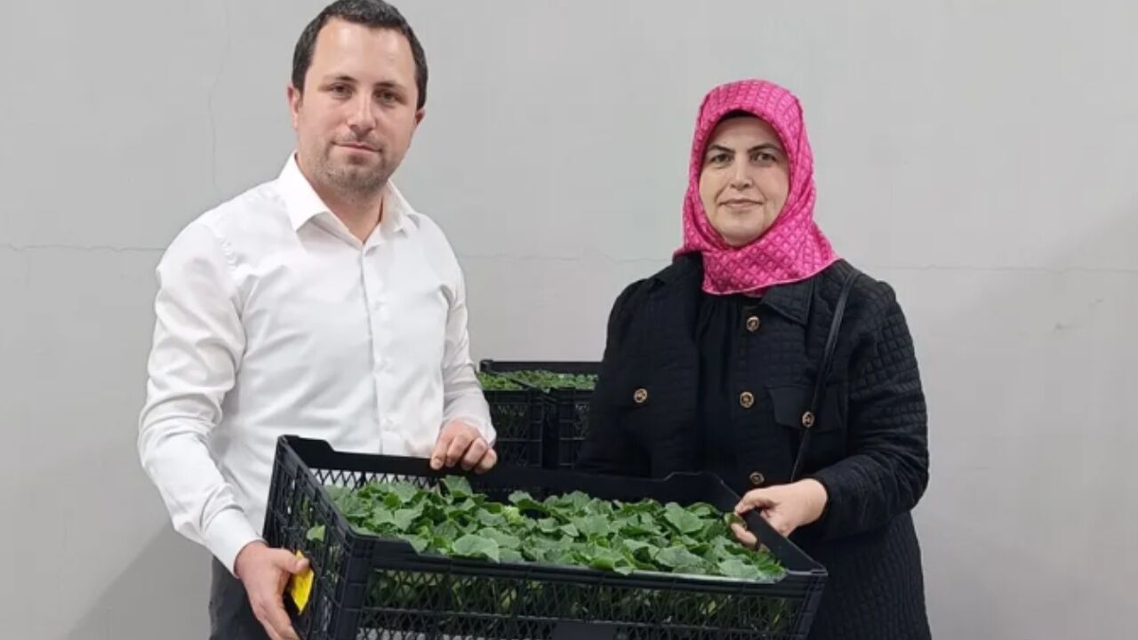 Bozkurt Fide Dağıtımı