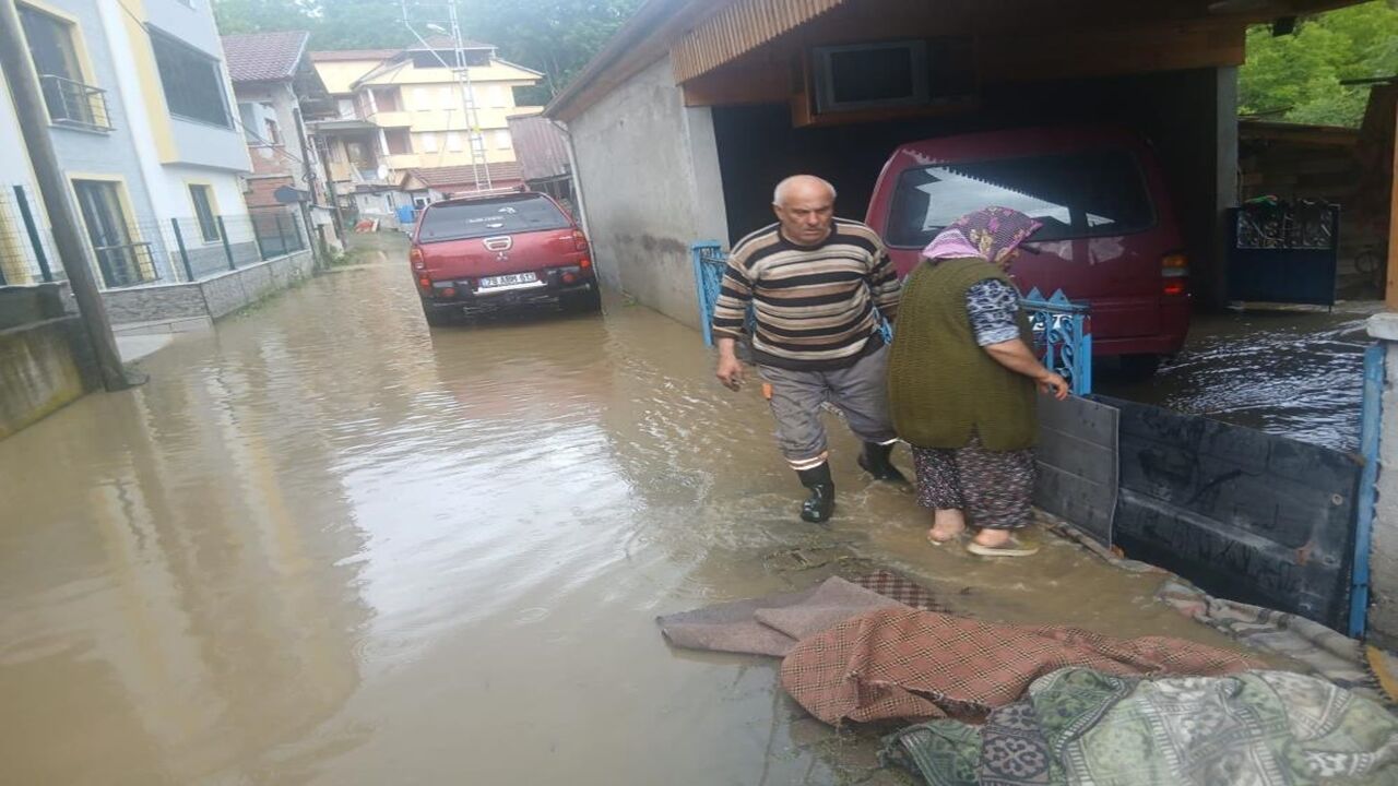 Debi Arttı Sel (2)