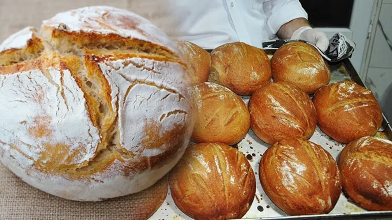 Dünyanın En Sağlıklı Ekmeği Kastamonu’dan Dünyaya Yayılıyor Siyez Ekmek (1)