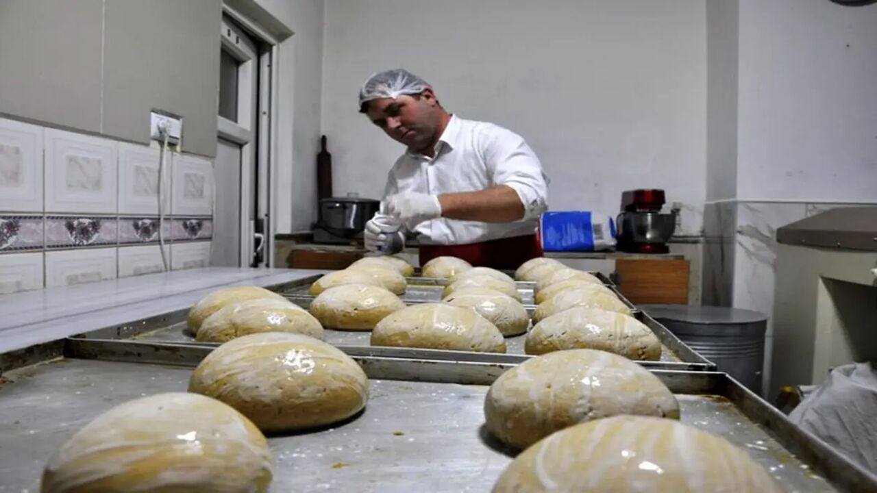 Dünyanın En Sağlıklı Ekmeği Kastamonu’dan Dünyaya Yayılıyor Siyez Ekmek (3)