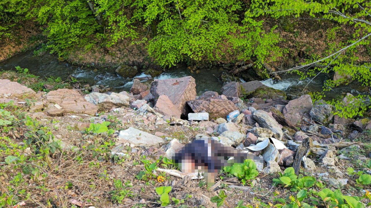 Düzce’de Korkunç Manzara! Köy Yolunda Ceset Şoku (1)