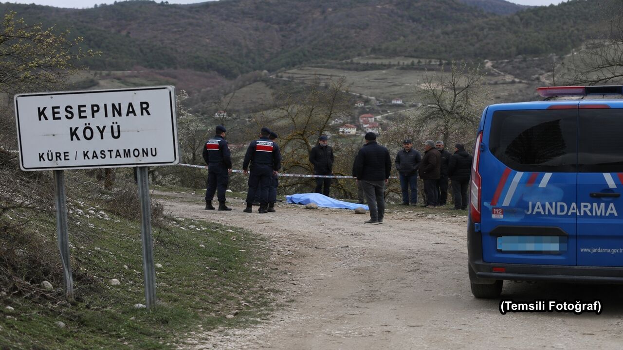 Fotoğraf Temsili