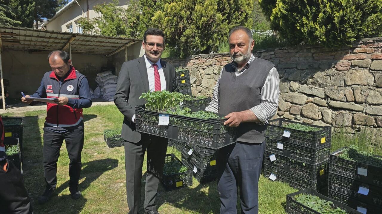 Hanönü Fide Dağıtımı (1)