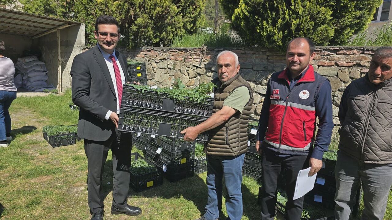 Hanönü Fide Dağıtımı (4)