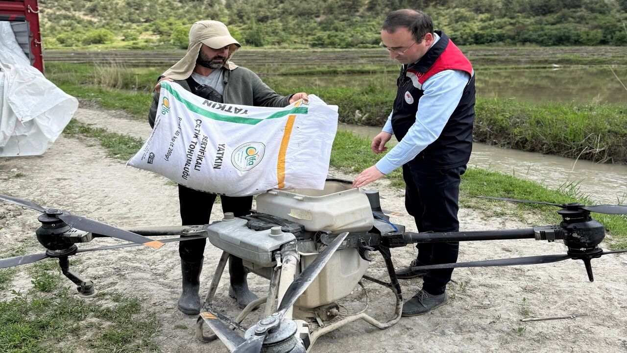 Hanönü Tosya Çeltik (2)