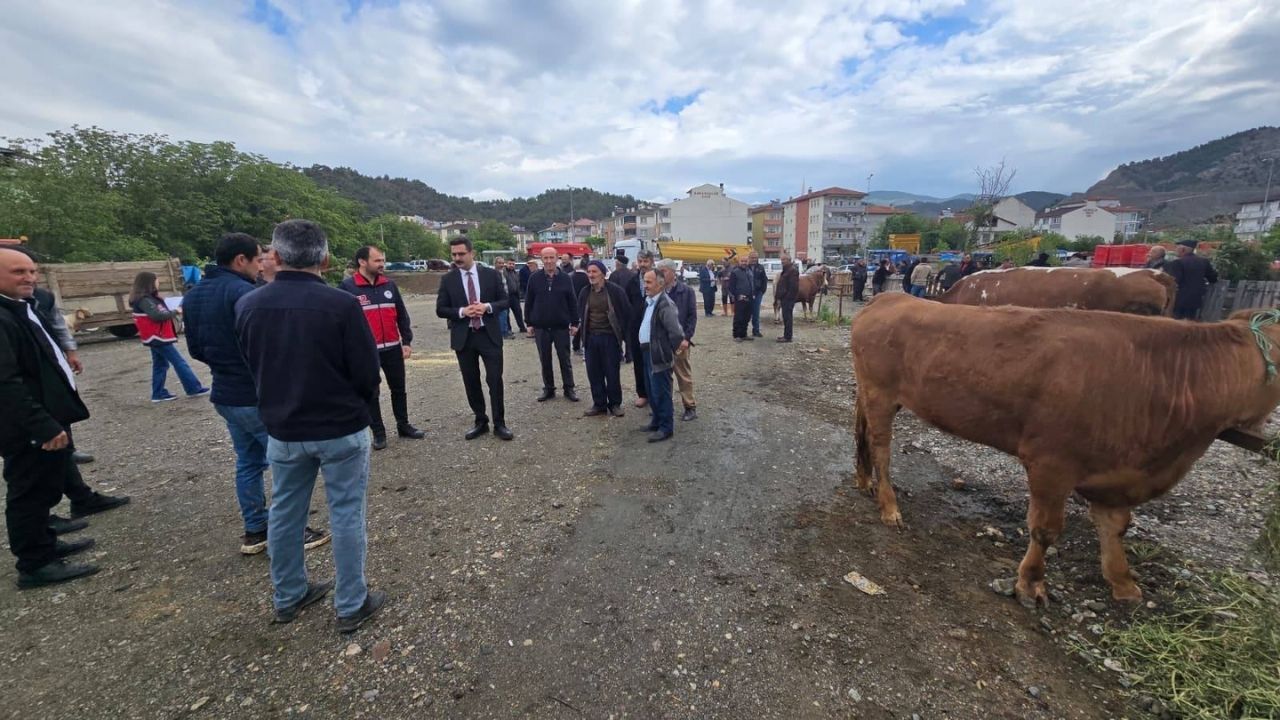 Hanönü’de Bayram Hareketliliği Başladı Kurbanlık Pazarına Protokol Ziyareti (4)