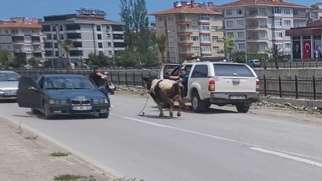 Inebolu Firardaki Kurbanlıktan Yeni Görüntü (1)