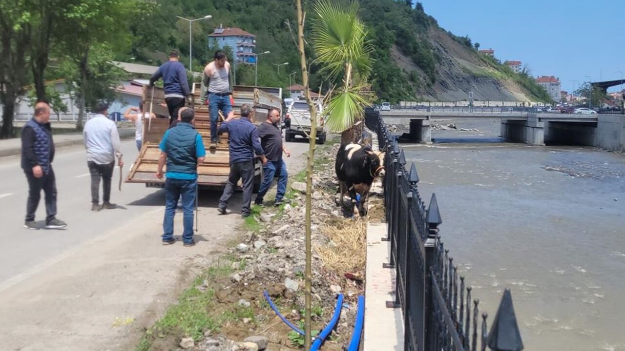 Inebolu Firardaki Kurbanlıktan Yeni Görüntü (2)