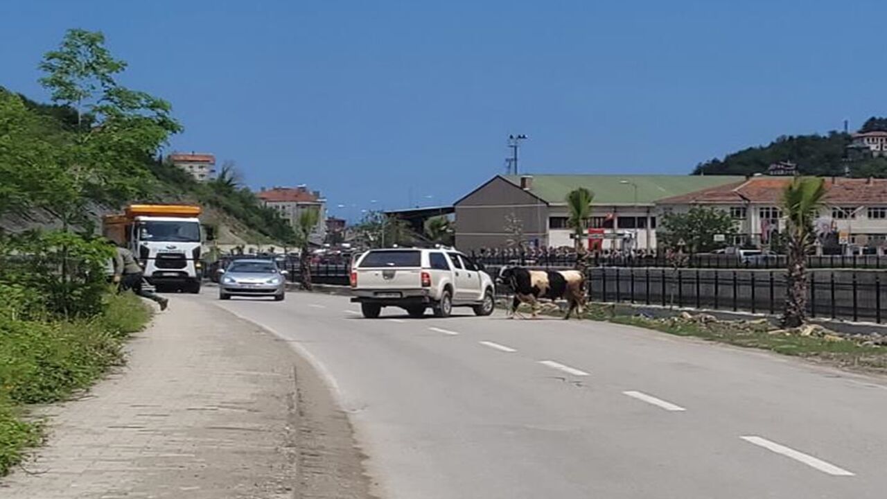 Inebolu Firardaki Kurbanlıktan Yeni Görüntü (3)
